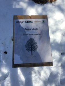 RHPP Tree Sign